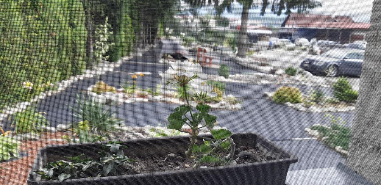 Apartman Yvet Sucany ภายนอก รูปภาพ